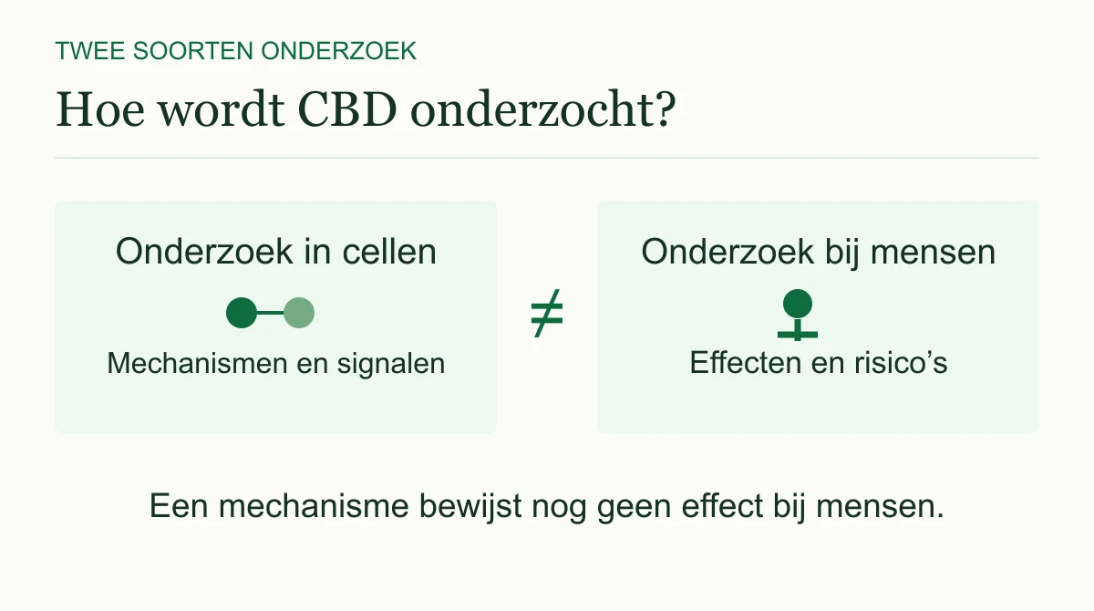 Onderzoek in cellen en onderzoek bij mensen beantwoorden verschillende vragen. Een waargenomen mechanisme bewijst op zichzelf geen effect bij mensen.